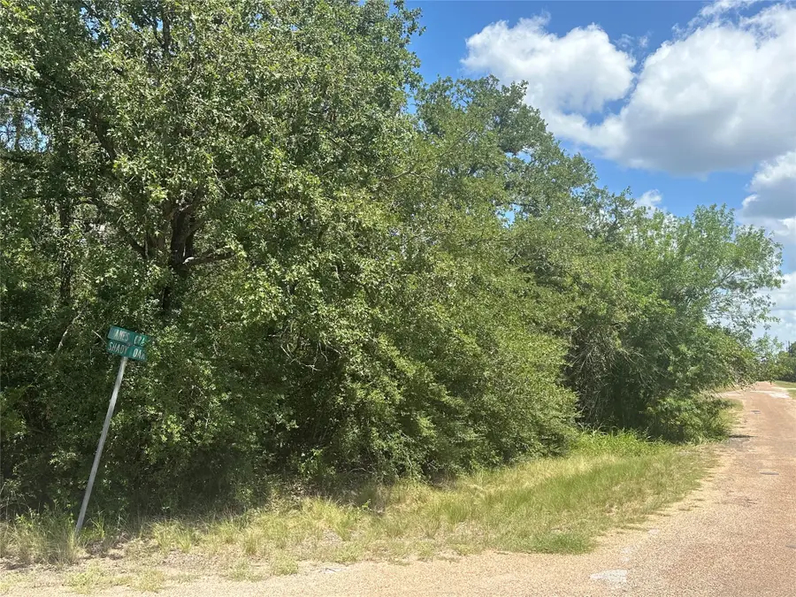 TBD Shady Oak Street, Somerville, TX 77879 - #2