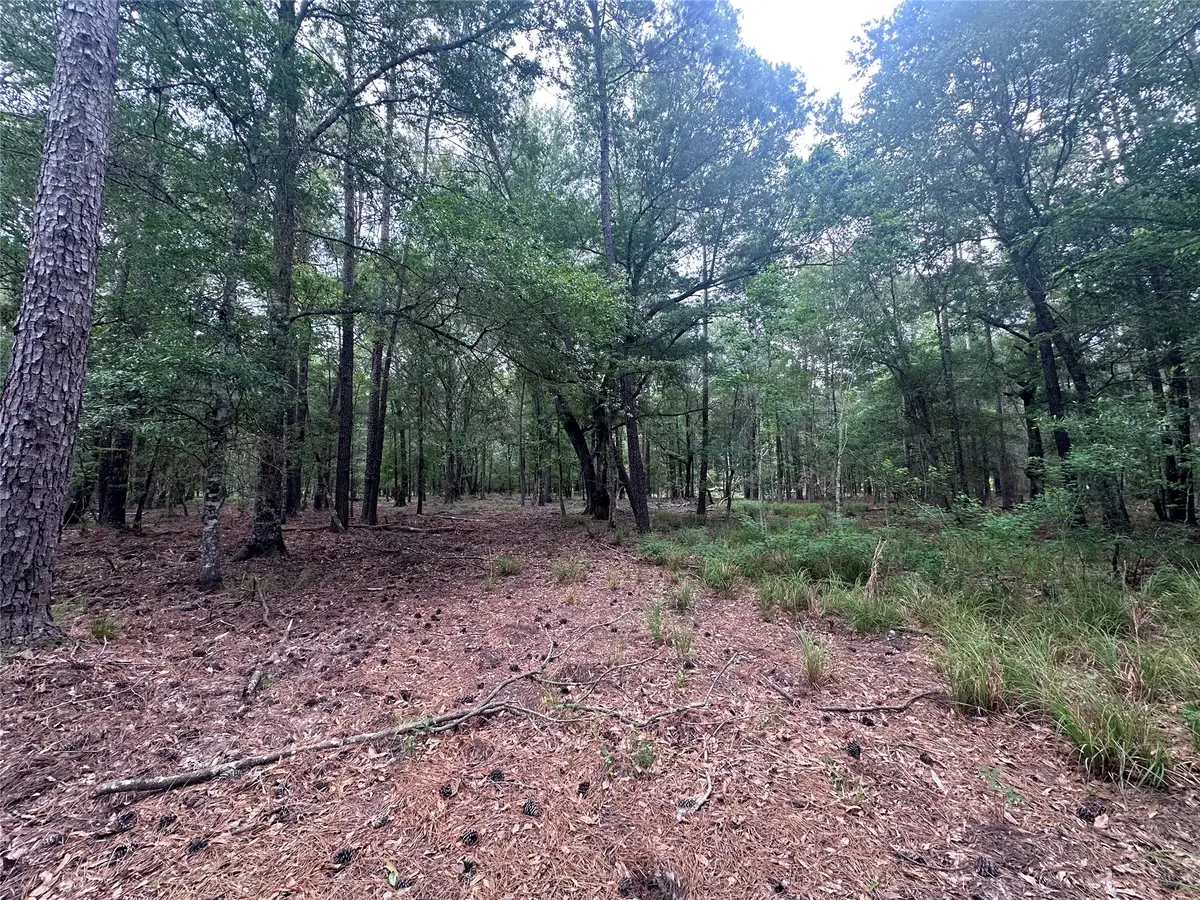 000 Fm 943, Livingston, TX 77351 - #1