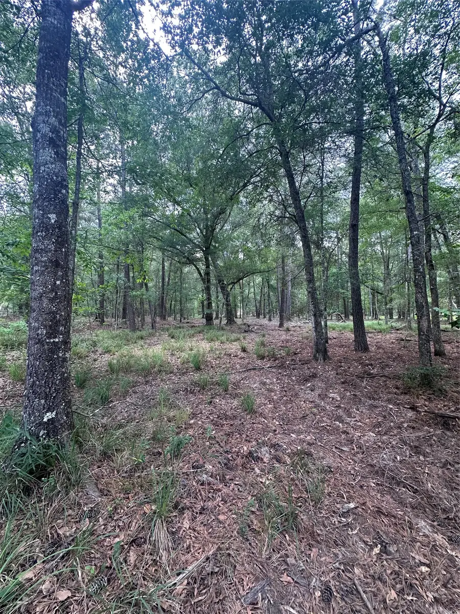 000 Fm 943, Livingston, TX 77351 - #2