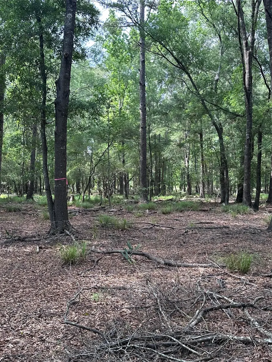 000 Fm 943, Livingston, TX 77351 - #3