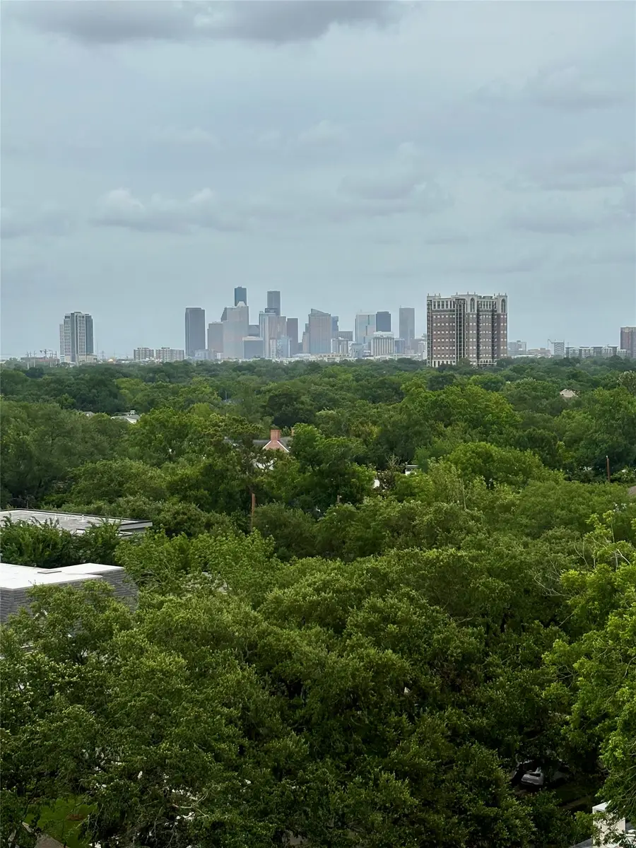 2360 S Rice Boulevard #PH1301, Houston, TX 77005 - #3