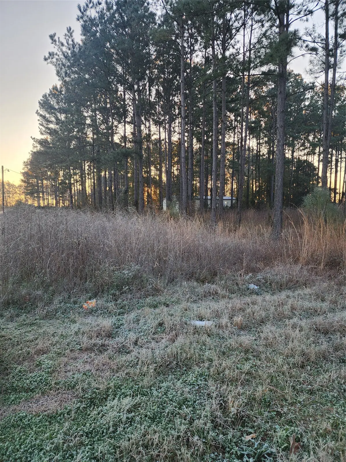 143 County Road 5003, Cleveland, TX 77327 - Image #1