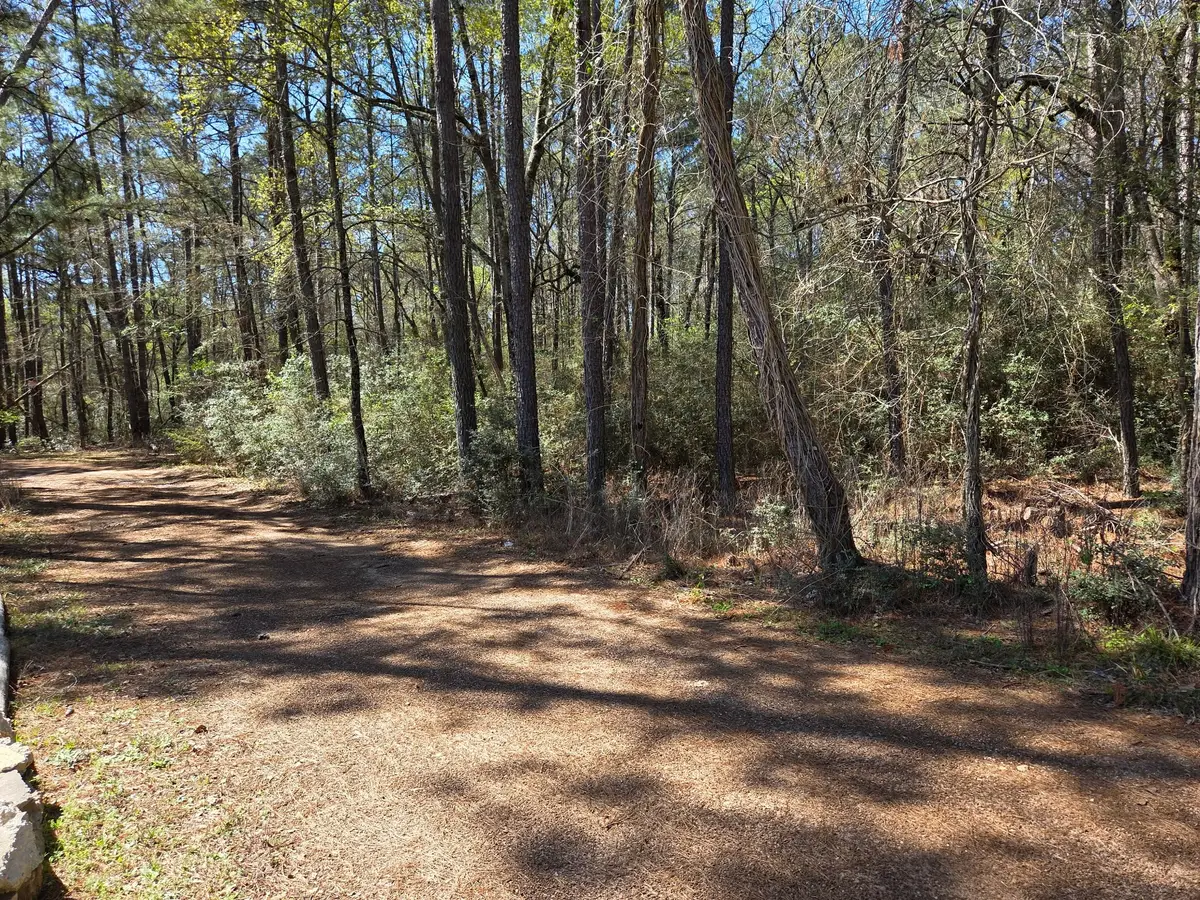 lot 19 Hackberry Drive, Plantersville, TX 77363 - #1