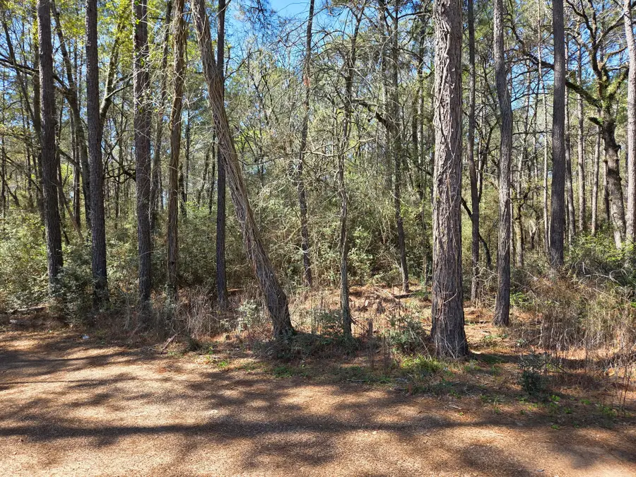 lot 19 Hackberry Drive, Plantersville, TX 77363 - #2