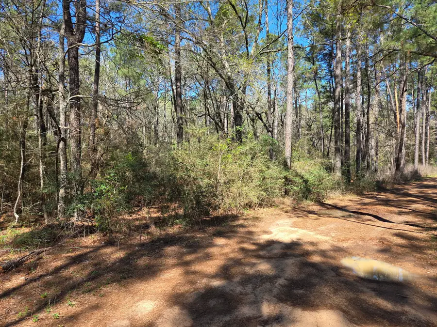 lot 19 Hackberry Drive, Plantersville, TX 77363 - #3