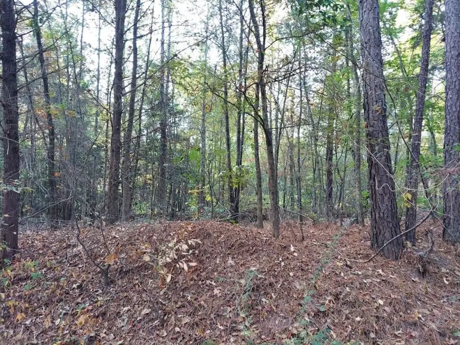 0 County Road 1587 Tr 3a, Avinger, TX 0 - Image #2