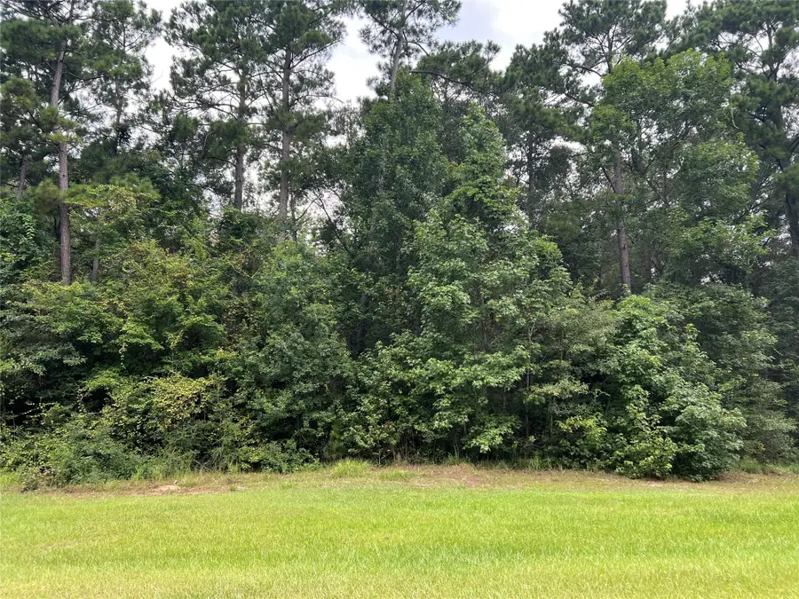 TBD Lure Lane, Livingston, TX 77351 - #2