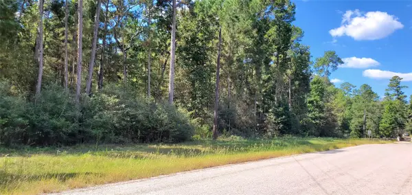 0 Cougar Court, Huntsville, TX 77340