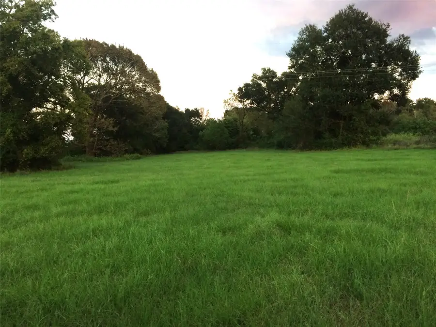 347 E Caroline St, Trinity, TX 75862 - Image #2