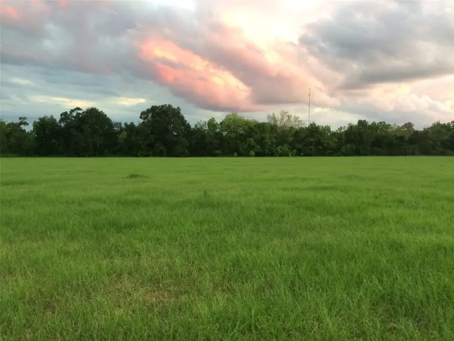 347 E Caroline St, Trinity, TX 75862 - Image #3