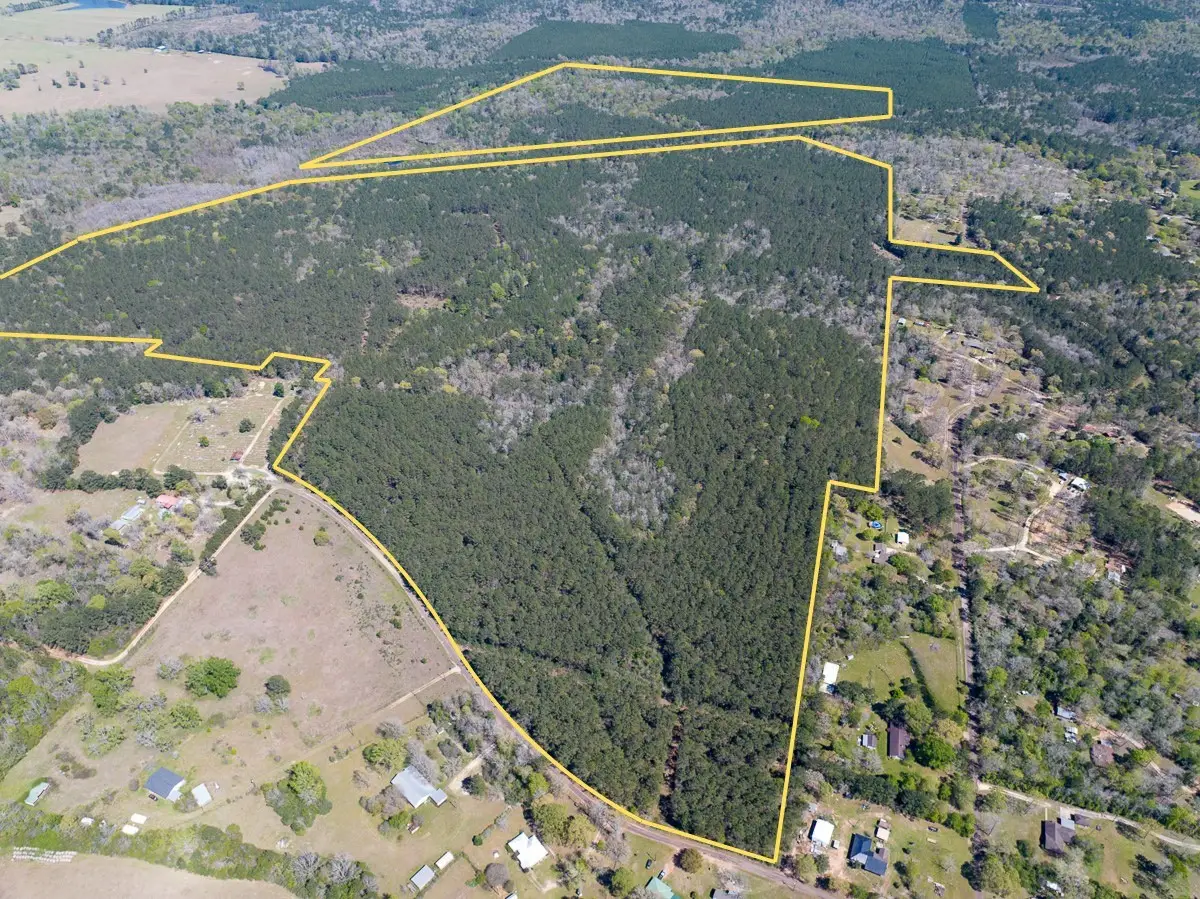 526 Mount Pisgah Road, Woodville, TX 75979 - #1