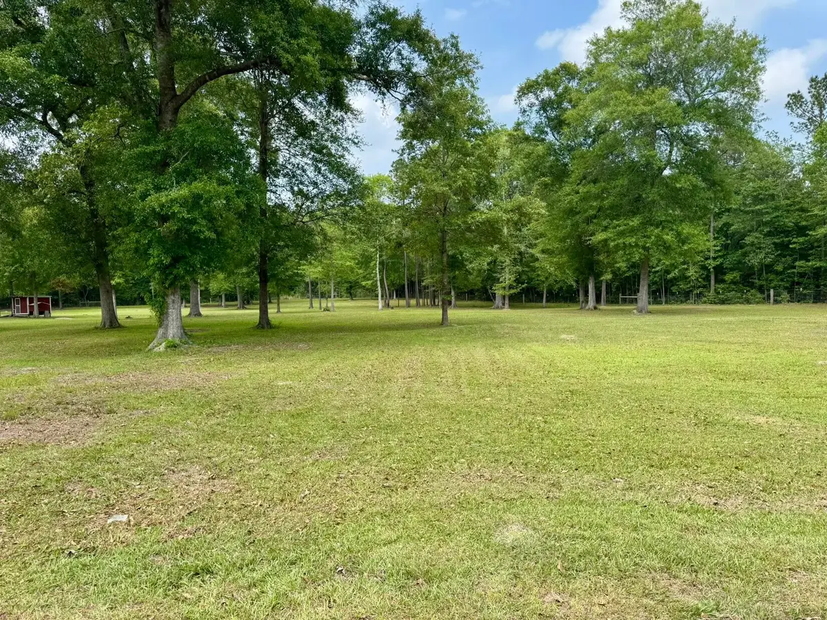 TBD County Road 1325, Warren, TX 77664 - #1