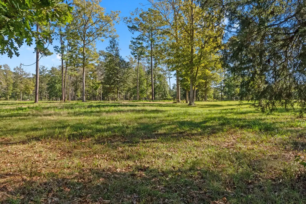 431 Gray Coat, Livingston, TX 77351 - Image #1