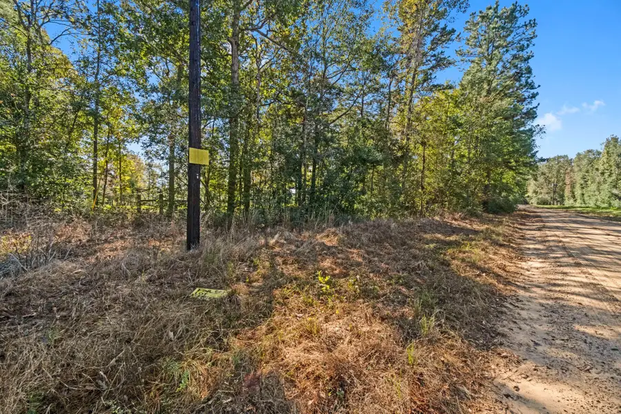 431 Gray Coat, Livingston, TX 77351 - Image #3