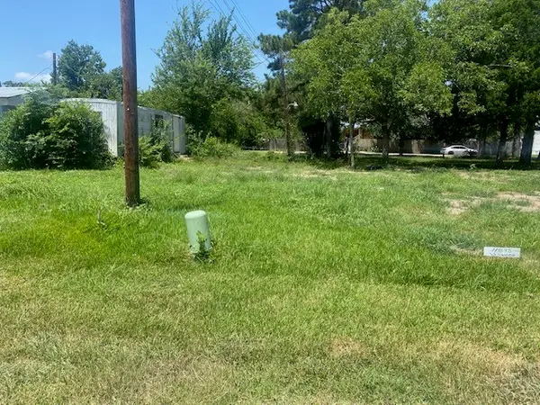 11893 Vanwood Street, Willis, TX 77318