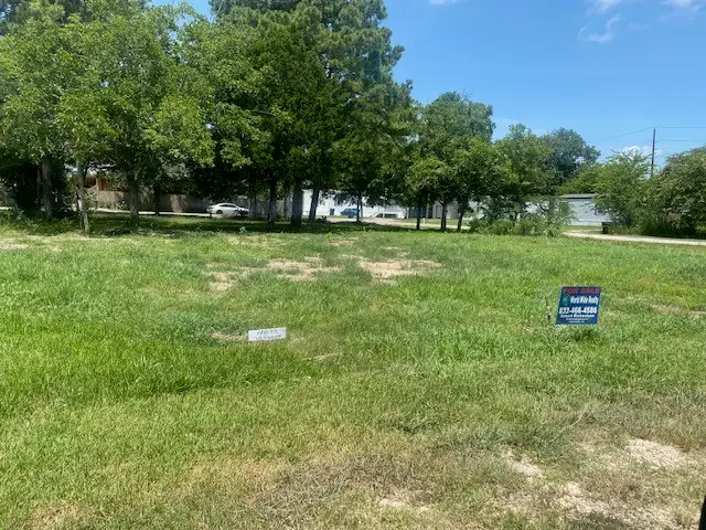 11893 Vanwood Street, Willis, TX 77318 - #3