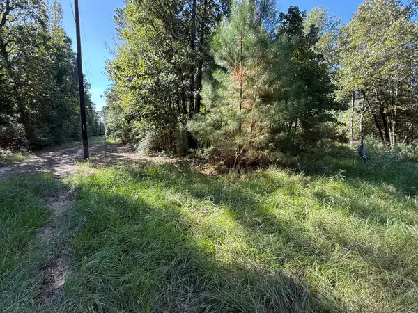 TBD Cr 3385, Lovelady, TX 75851