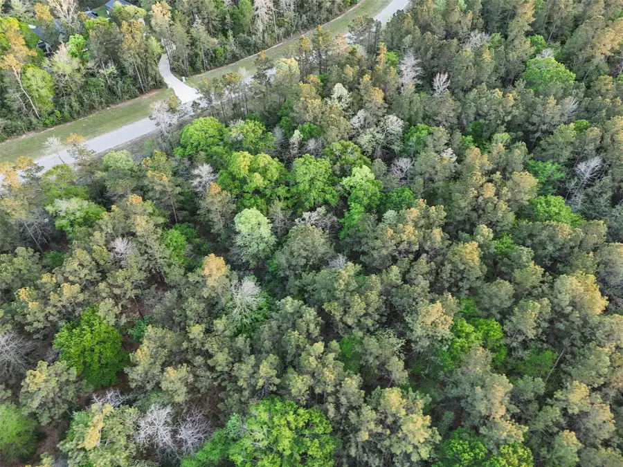 15537 Red Hawk Road, Willis, TX 77373 - #2