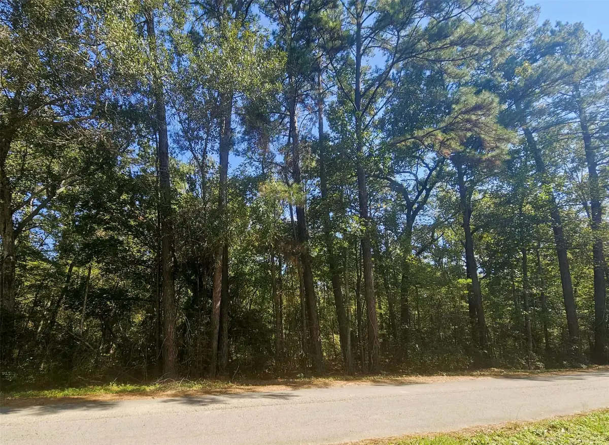 tbd Royal Springs Road, Conroe, TX 77303 - Image #1