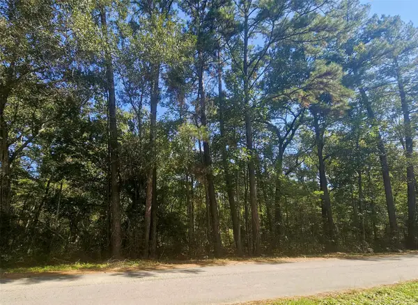 tbd Royal Springs Road, Conroe, TX 77303