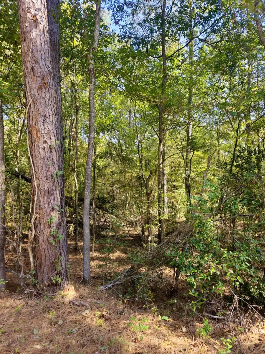 tbd Royal Springs Road, Conroe, TX 77303 - Image #2