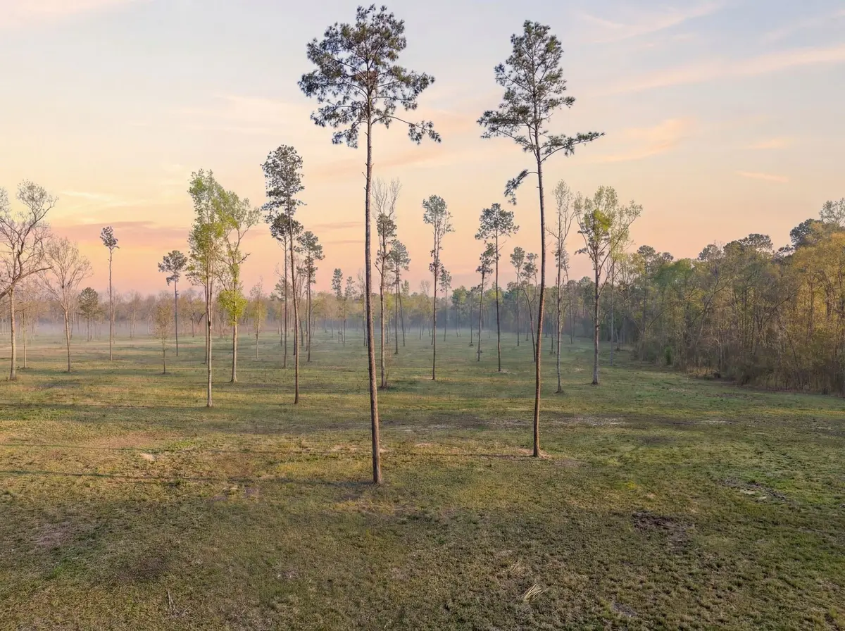 Lot 5 Johnson Drive, Livingston, TX 77351 - #1