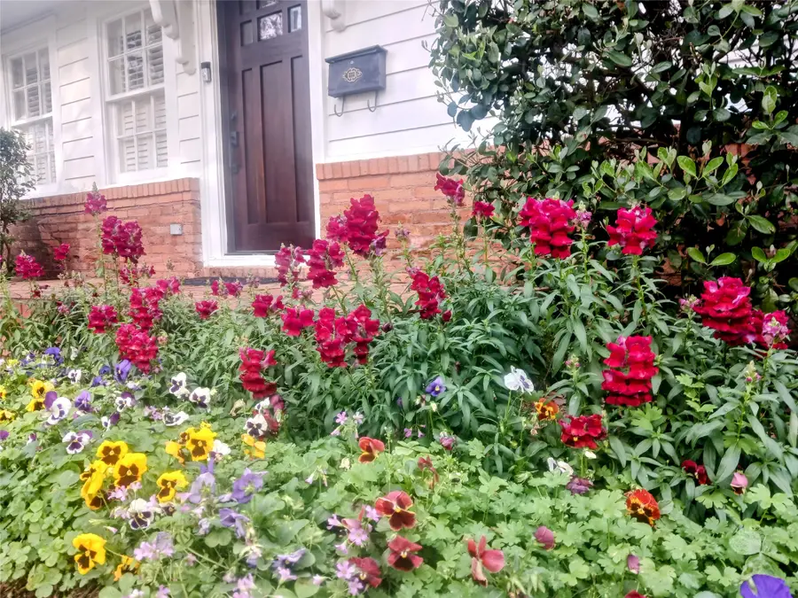 3110 Randall Street, Houston, TX 77018 - #3