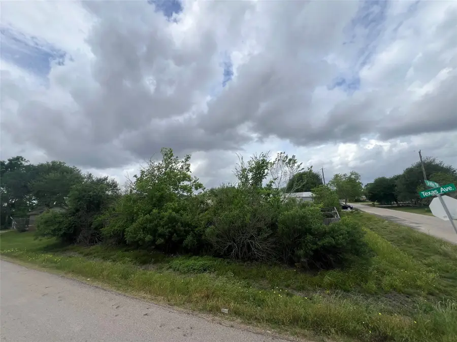 5810 Judy Street, Rosharon, TX 77583 - #3