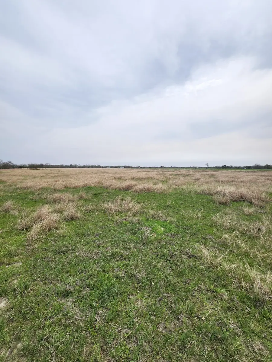 FM 950 RD Track 7 Fm 950, Eagle Lake, TX 77434 - #3