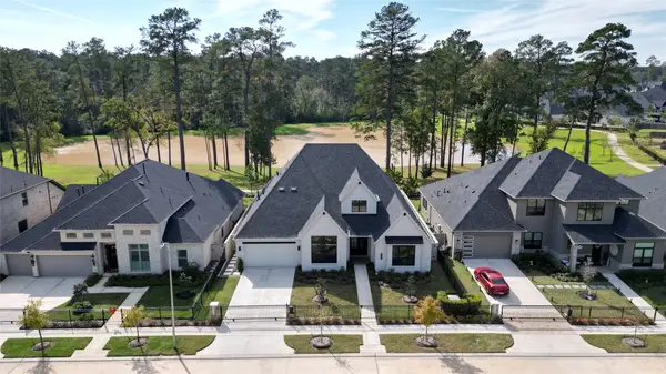 15391 Ringbill Way, Magnolia, TX 77354