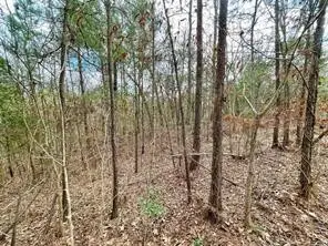 414 County Road 3416, Cleveland, TX 77327 - Image #1