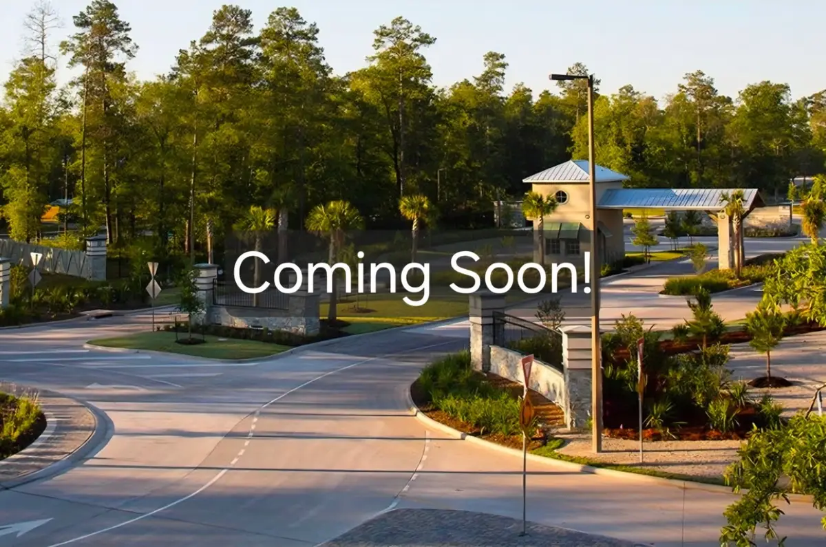 16849 Pink Wintergreen Drive, Conroe, TX 77385 - #1