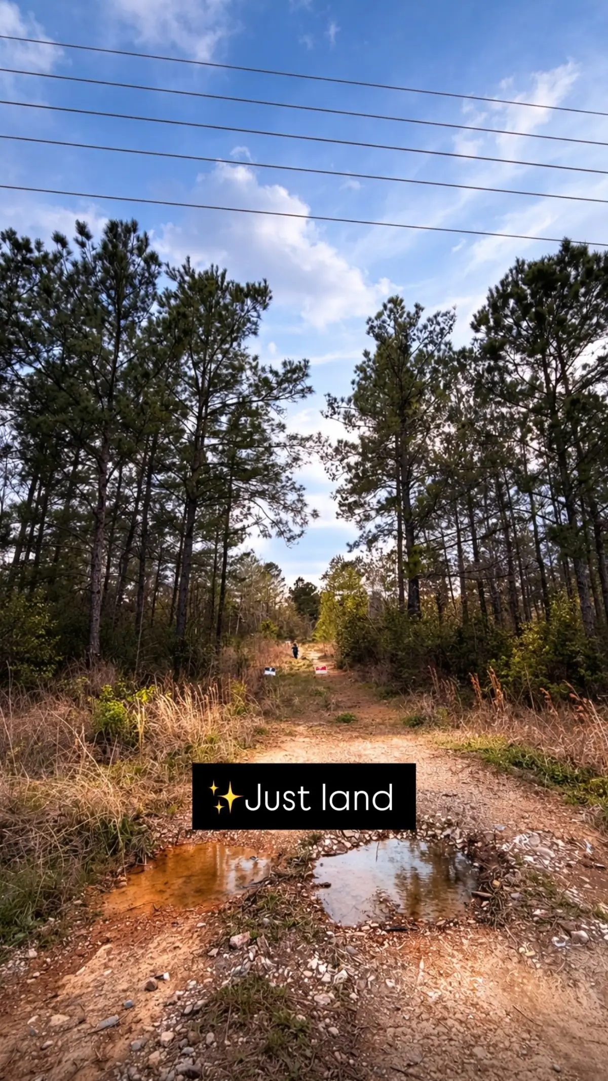 6785 Fm 1003, Kountze, TX 77625 - #1