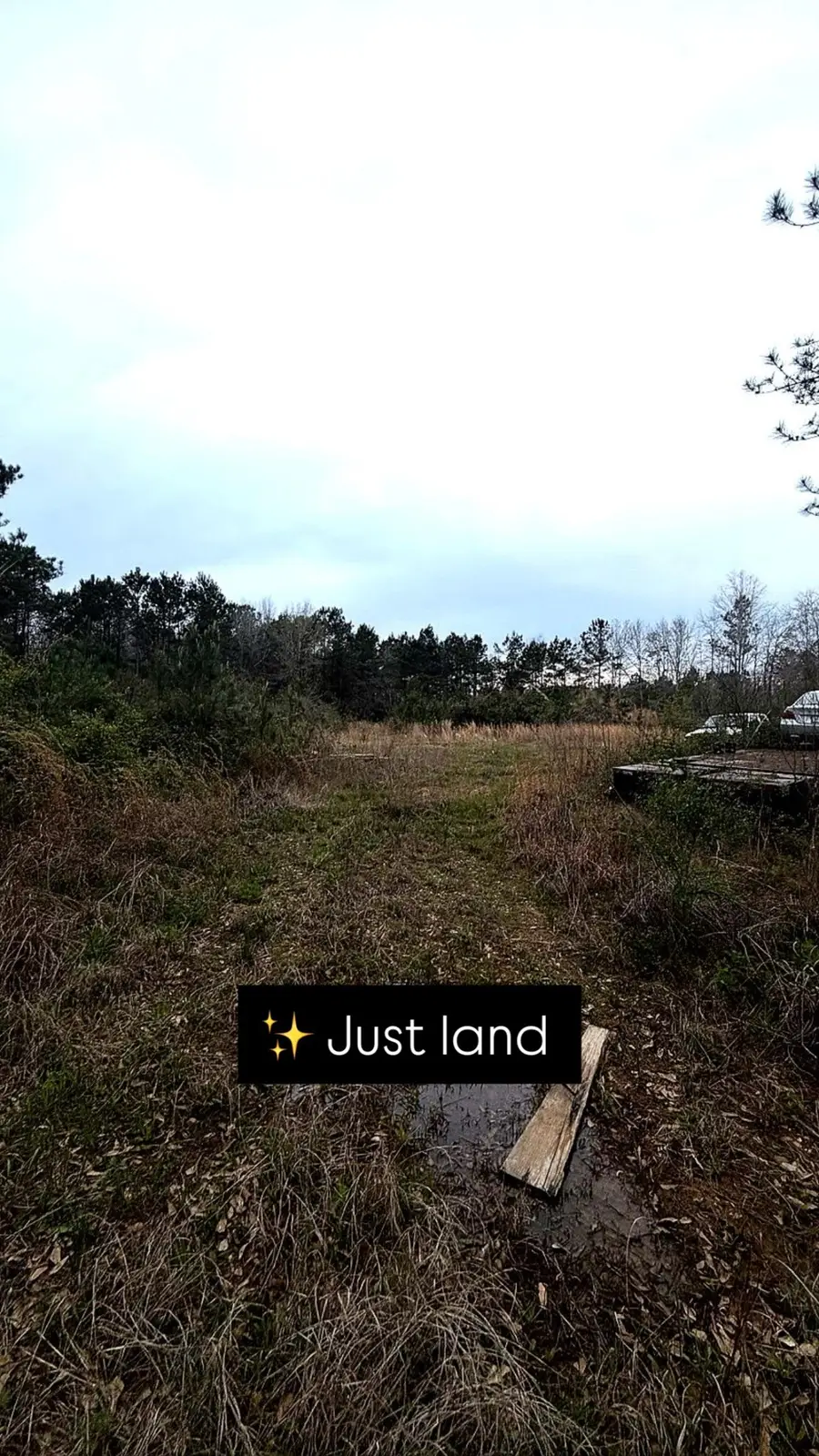 6785 Fm 1003, Kountze, TX 77625 - #3