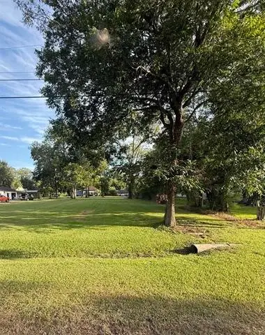 TBD Cora Lee Street, Sour Lake, TX 77659 - #1