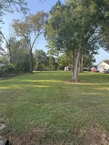 TBD Cora Lee Street, Sour Lake, TX 77659 - #2