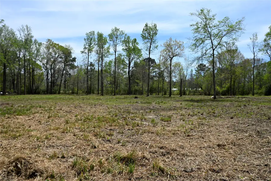 lot 4 County Road 2360, Hardin, TX 77575 - #2