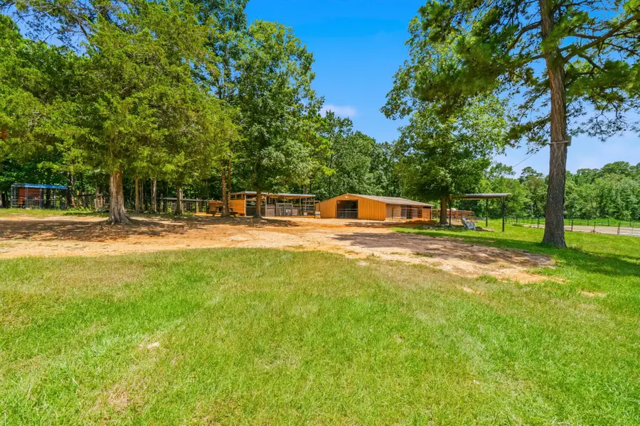 1239 Tony Peebles Road, Livingston, TX 77351 - #3