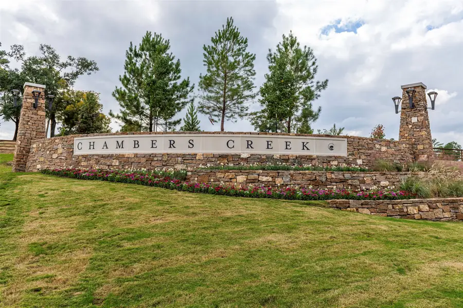 10102 Hollins Hill Lane, Willis, TX 77318 - #3