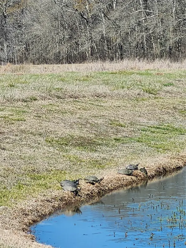 TBD Center Drive, Cleveland, TX 77327