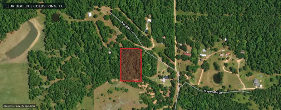 00 Eldridge, Coldspring, TX 77331 - #3