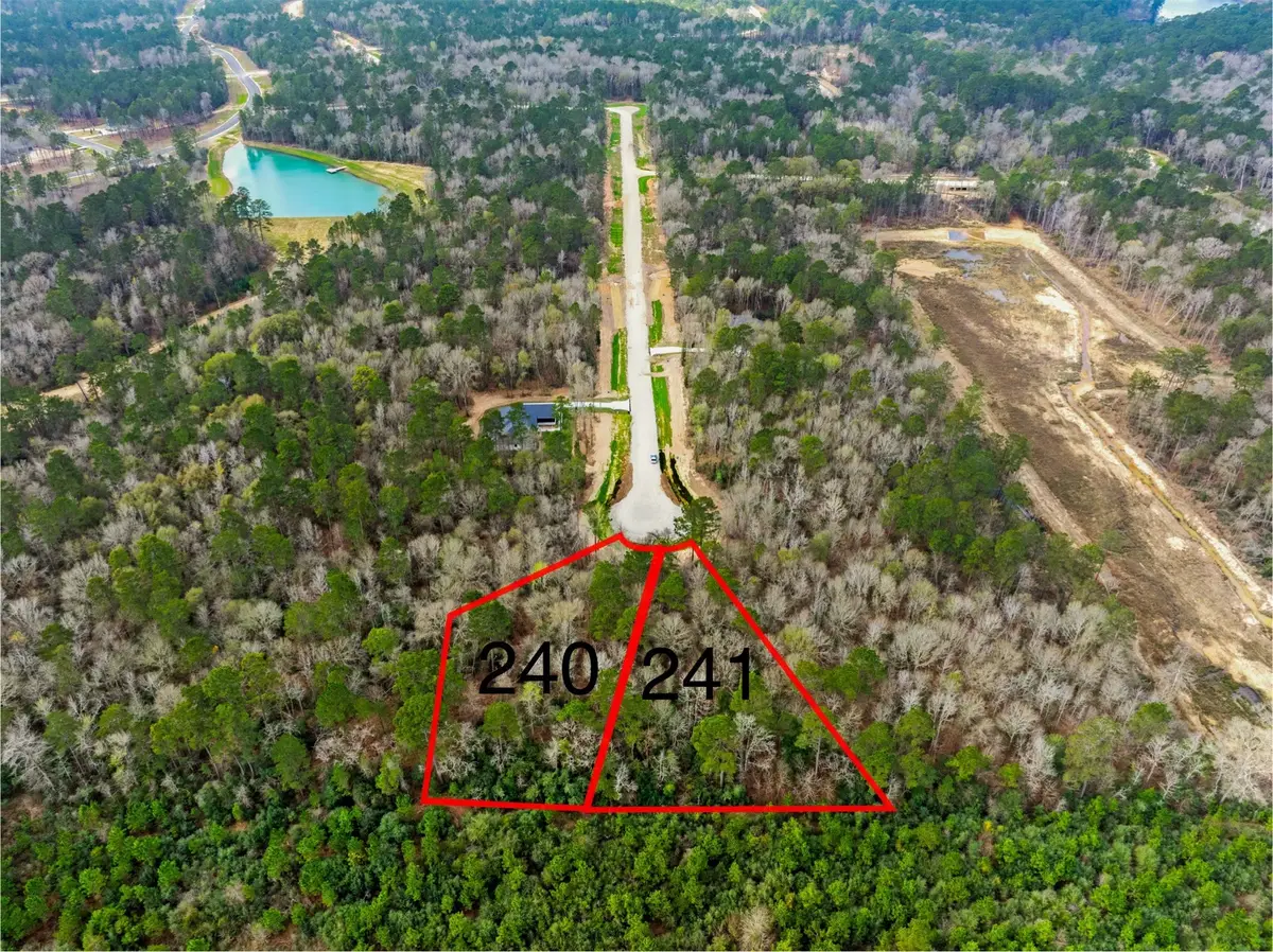 241 Hollow Hill Road, New Waverly, TX 77358 - #1