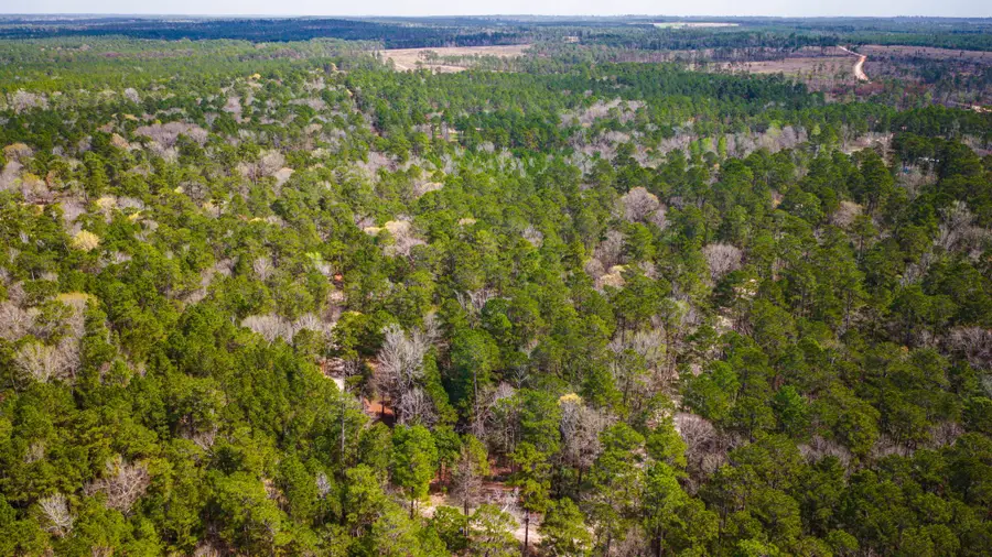 TBD Tract 4 Triple Creek Loop, Livingston, TX 77351 - #3