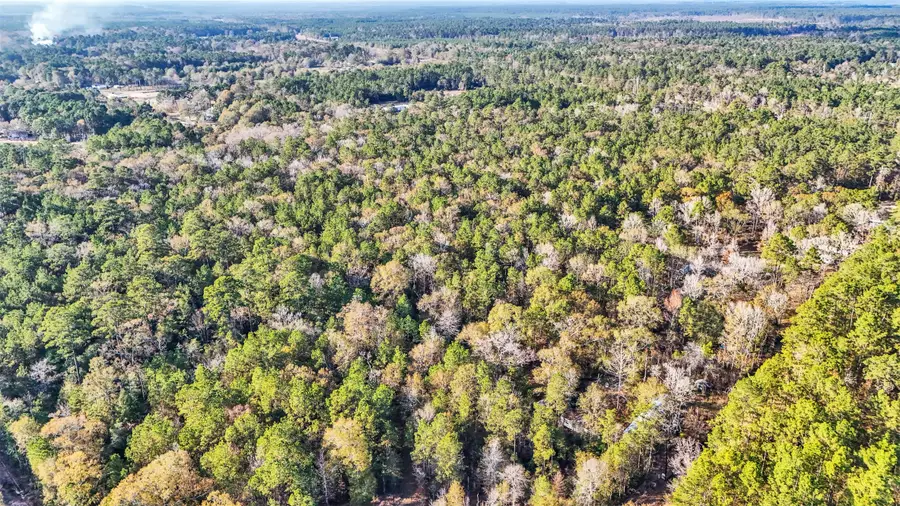 530 Smith Lane, Cleveland, TX 77328 - Image #3