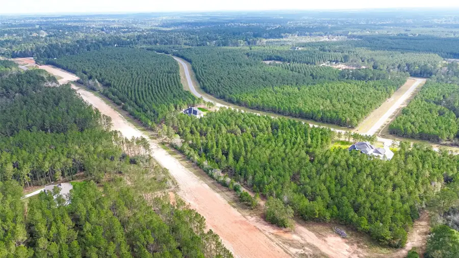 15661 Wood Grove Way, Willis, TX 77378 - #3