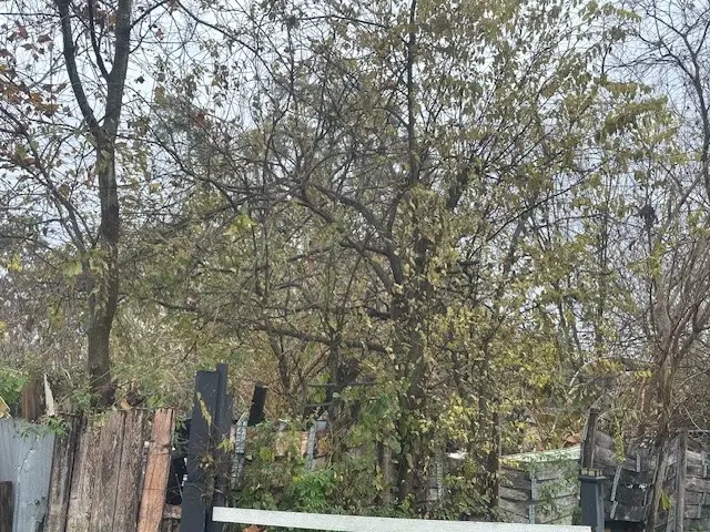 839 Fortune Street, Houston, TX 77088 - Image #2