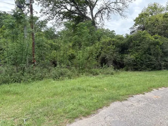 TBD Arnold Palmer Lane, Normangee, TX 77871 - #2
