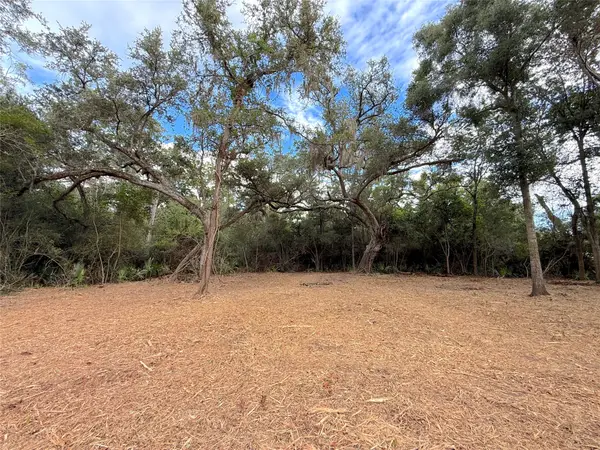 Lot 12A2 Cr 345, Brazoria, TX 77422