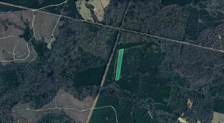 00 Menard Chapel Road, Livingston, TX 77351 - Image #3