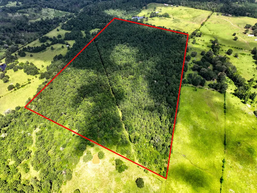 TBD Cr 4120, Crockett, TX 75835 - #2